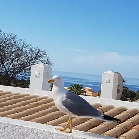 Da Galé, 250m Da E Piscina