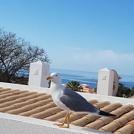 Da Gale, 250m Da E Piscina Apartament