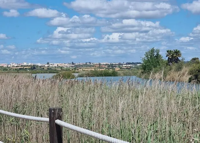 Da Gale, 250m Da E Piscina