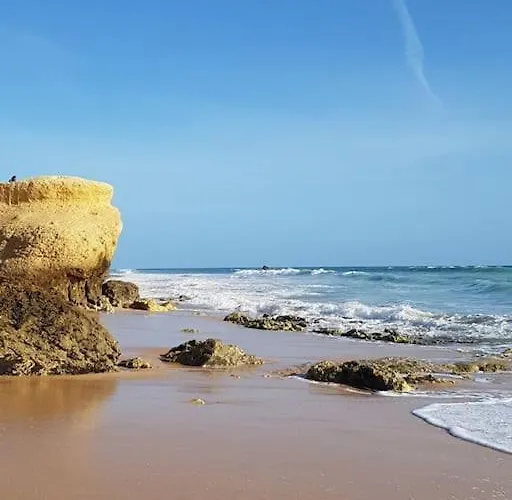 Apartament Da Gale, 250m Da E Piscina