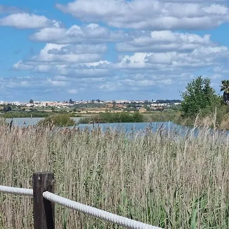 Da Gale, 250m Da E Piscina